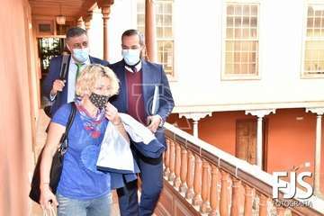 Pleno ordinario de diciembre de 2020/Francisco Javier Santana.